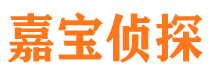 海城市私家侦探